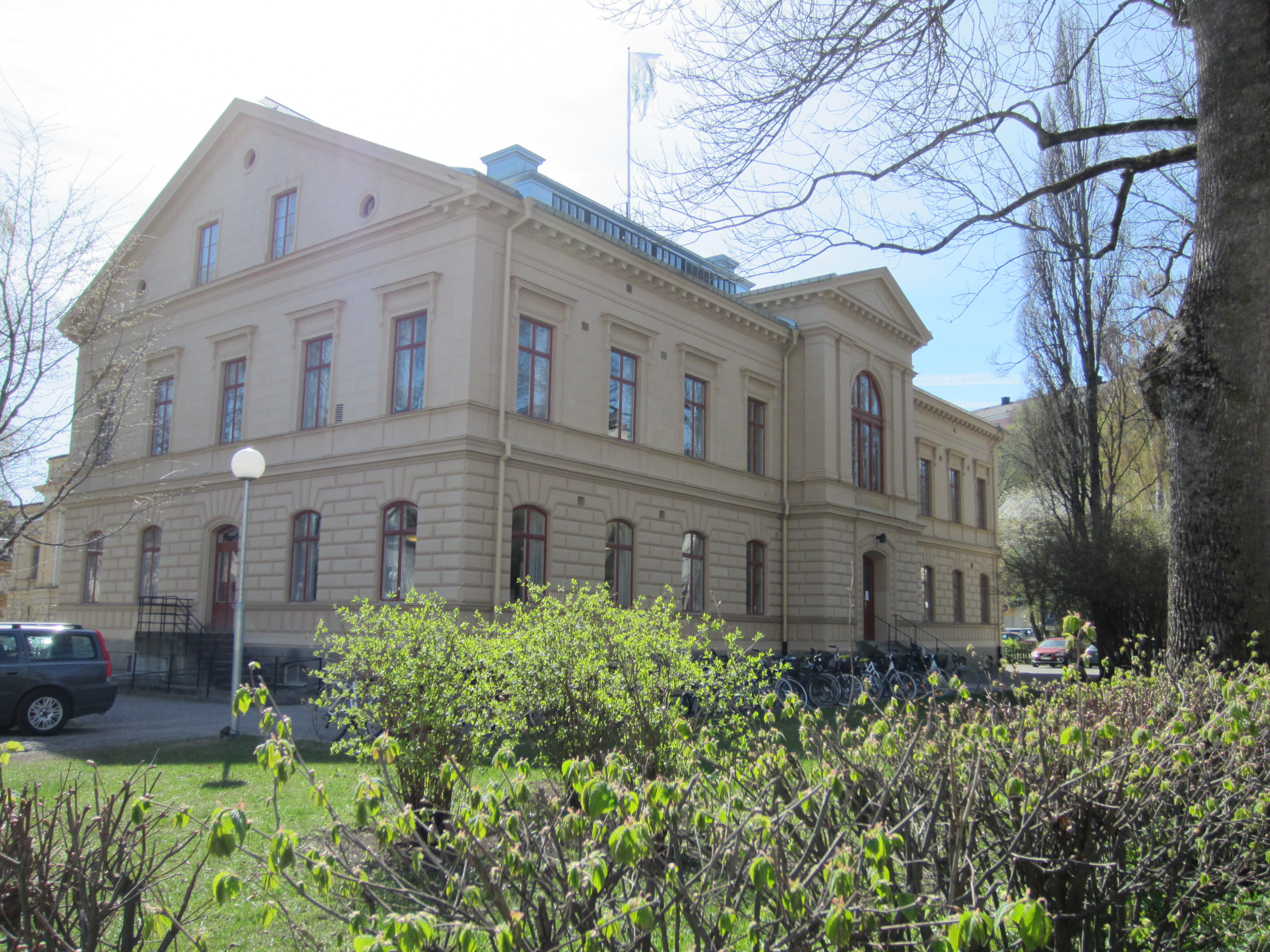 Regnellianum