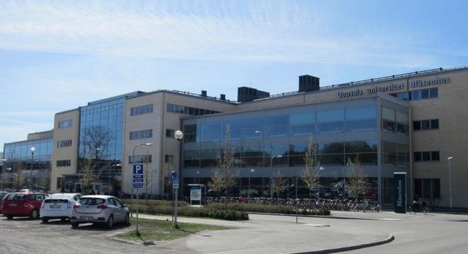Pedagogikum